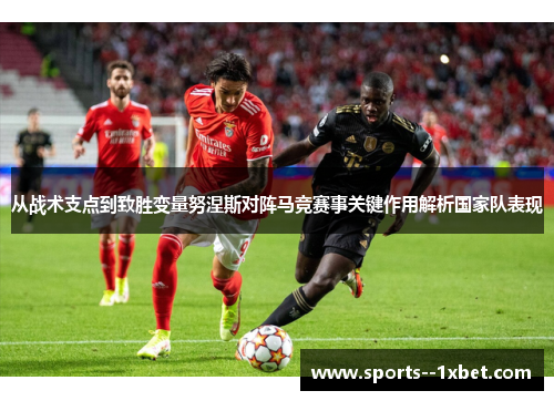 从战术支点到致胜变量努涅斯对阵马竞赛事关键作用解析国家队表现